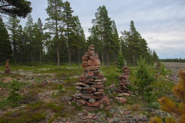 Ormanda bir taş dağı yapılır. Üzerinde yosun olan kırmızı taşlar üst üste. İlginç bir kuzey manzarası..
