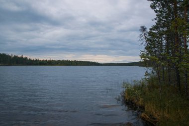 Ormandaki göl. Bulutlu bir günde Karelia 'da güzel bir yaz manzarası.