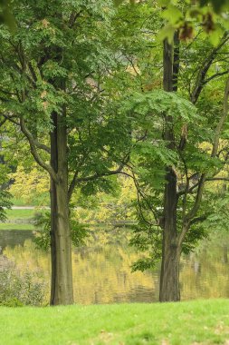 Berlin'de parkta iki çalışır