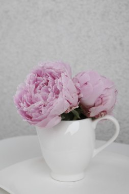 Gül peonies beyaz bir tablo