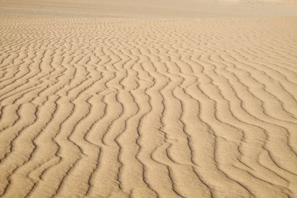 Sanddüne in Corralejo, Fuerteventura. — Stockfoto
