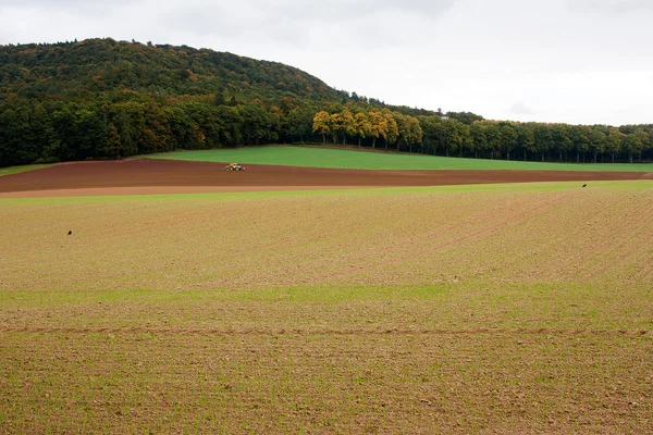 Een agriculural landschap in Bad Pyrmont, Duitsland. — Stockfoto