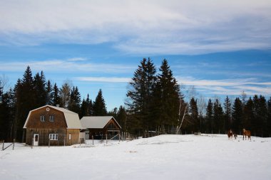 Karda küçük ahşap ev 