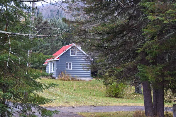 Houten Huis Het Bos — Stockfoto