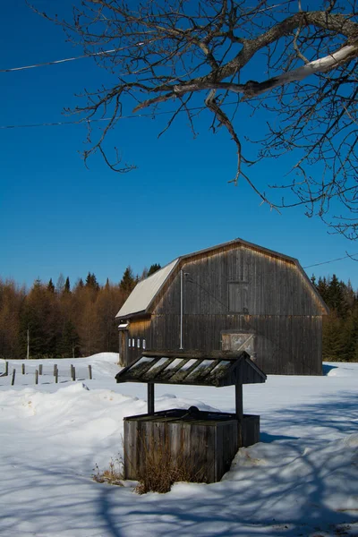 Kanada Quebec Kışında Bir Tarlada Eski Bir Ahır — Stok fotoğraf