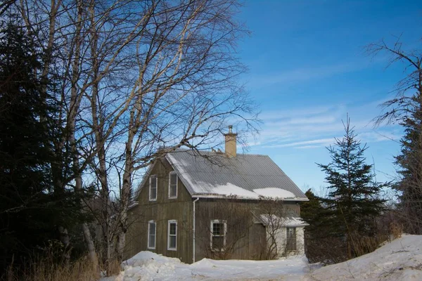 Casa Madeira Velha Floresta Inverno — Fotografia de Stock