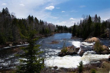 Kış ormanındaki dağ nehri
