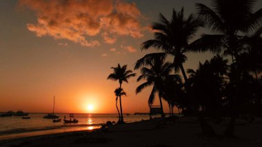 Sahilde gün batımı Palmiye ağaçları ve denizle
