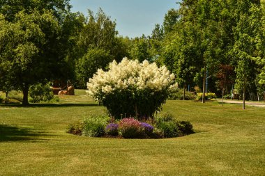 Yazın bir park manzarası