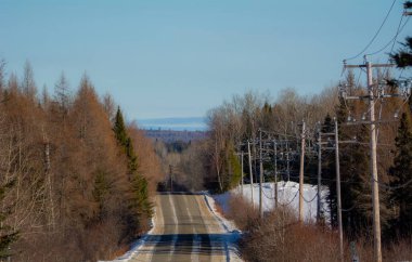 Ormanın içinden geçen boş yollu kış manzarası