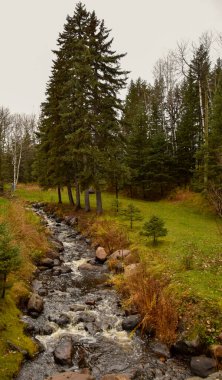 Nehir ve ormanlı sonbahar manzarası 