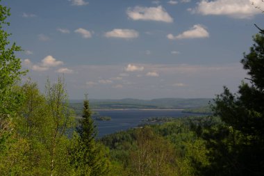 Nehir ve ağaçlarla dolu güzel bir manzara 
