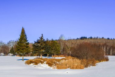 Güzel karlı kış manzarası 