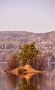 Nehir ve ağaçlarla dolu sonbahar manzarası