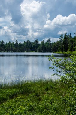 Nehir ve ormanlı güzel yaz manzarası