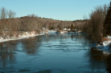 Kış manzarası karla kaplı ağaçlar ve soğuk kış 