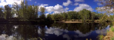 Ormandaki göl manzarası