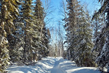 Güzel karlı kış manzarası 