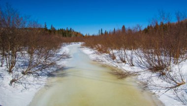 Güzel karlı kış manzarası 