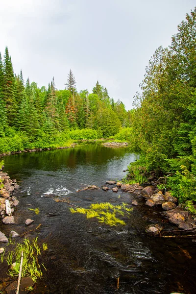 Wunderschöne Landschaft Mit Fluss Und Bäumen — Stockfoto