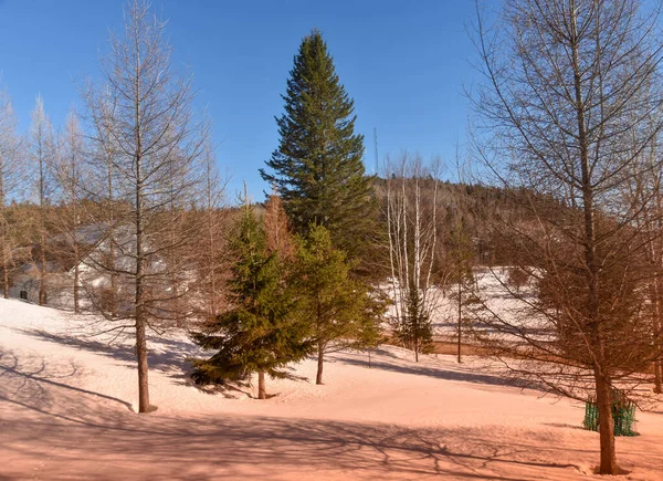 Belle Vue Sur Paysage Hivernal Enneigé — Photo