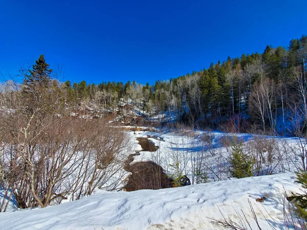 Winterlandschaft Mit Schneebedeckten Bäumen Und Fluss — Stockfoto