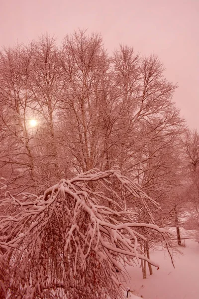 Hermosa Vista Del Paisaje Nevado Del Invierno — Foto de Stock