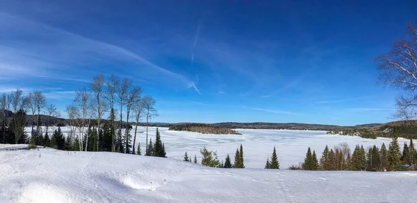 Árvores Congeladas Inverno Frio Canadense — Fotografia de Stock