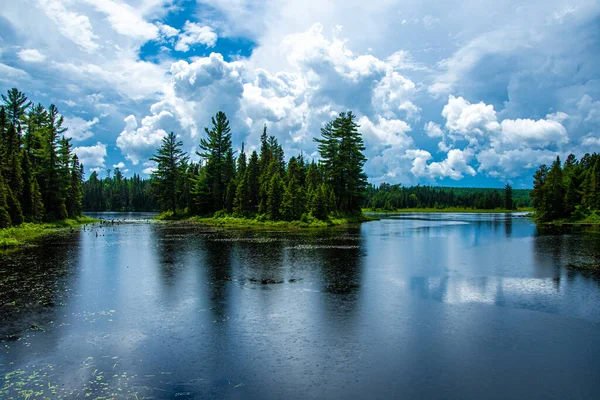 Paesaggio Estivo Con Fiume Foresta — Foto Stock