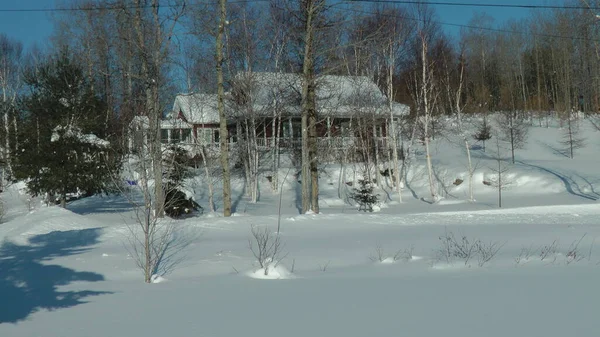 Beautiful View Snowy Winter Landscape — Stock Photo, Image