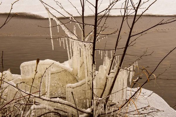 寒冬冰冻的树木 — 图库照片