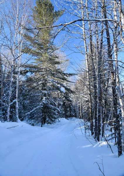 Hermosa Vista Del Paisaje Nevado Del Invierno —  Fotos de Stock