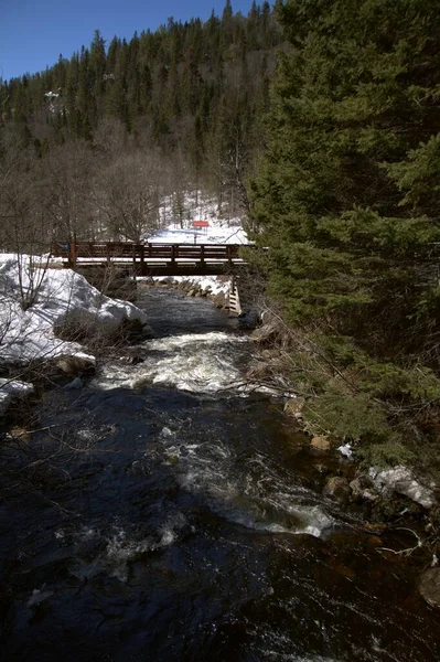 Kalter Fluss Kanadischen Winter Quebec — Stockfoto