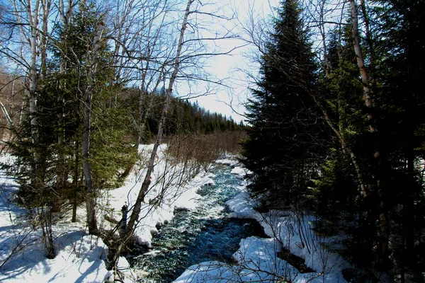 多雪的冬季风景中的河流美景 — 图库照片