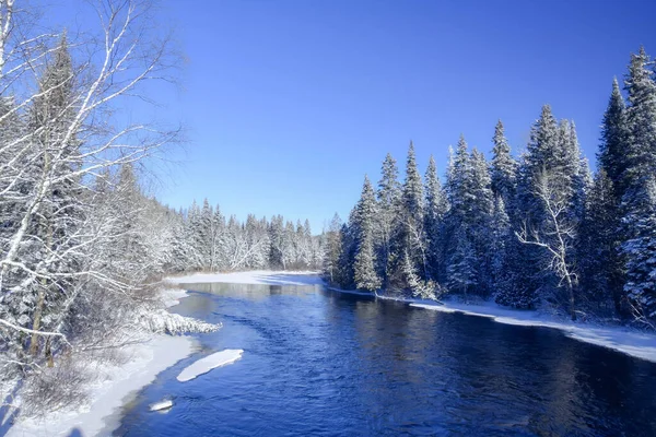 Kall Flod Kanadensiska Vintrarna Quebec — Stockfoto