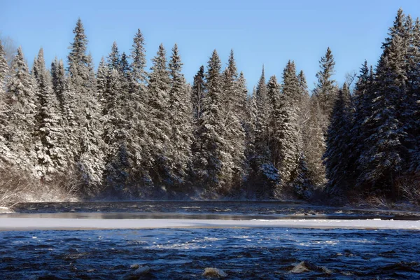 Cold River Canadian Winters Quebec — Stock Photo, Image