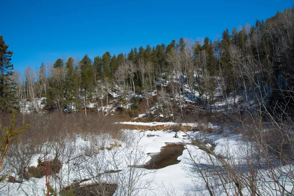 Vinterlandskap Med Snötäckta Träd — Stockfoto