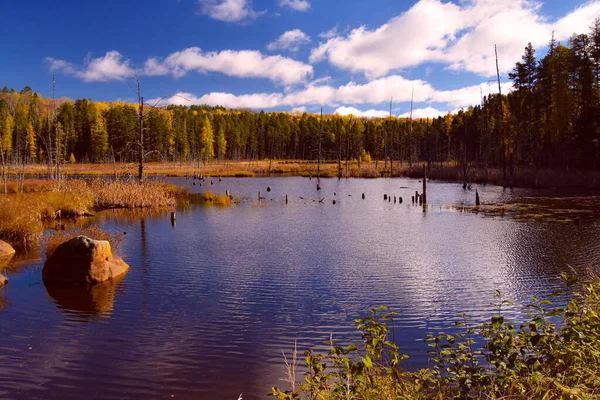 Paysage Automne Avec Arbres Lac — Photo