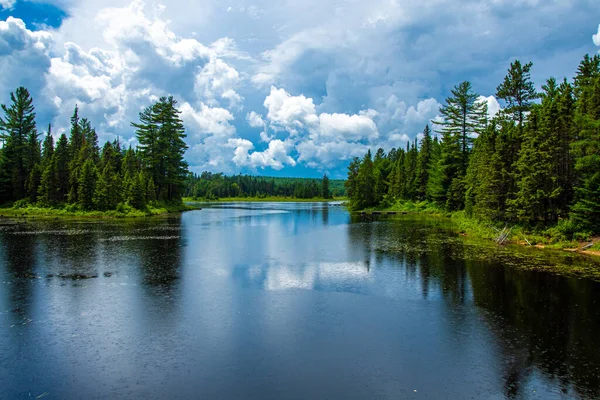 Paesaggio Estivo Con Fiume Foresta — Foto Stock