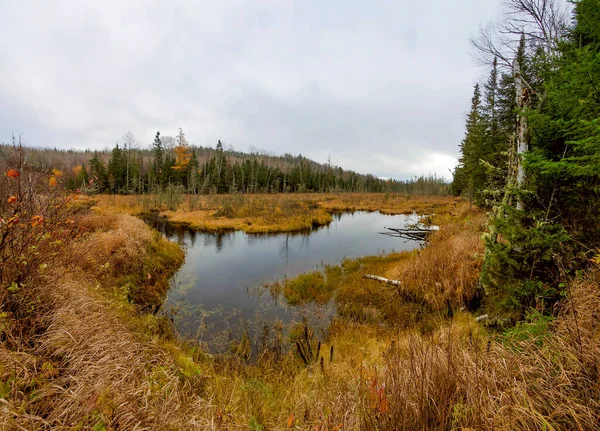 Prachtig Herfstlandschap Met Meer Bos — Stockfoto