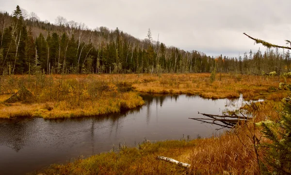 Paesaggio Autunnale Con Fiume Foresta — Foto Stock