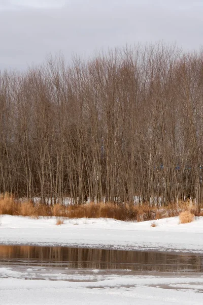 Холодная Река Канадских Зимах Квебеке — стоковое фото