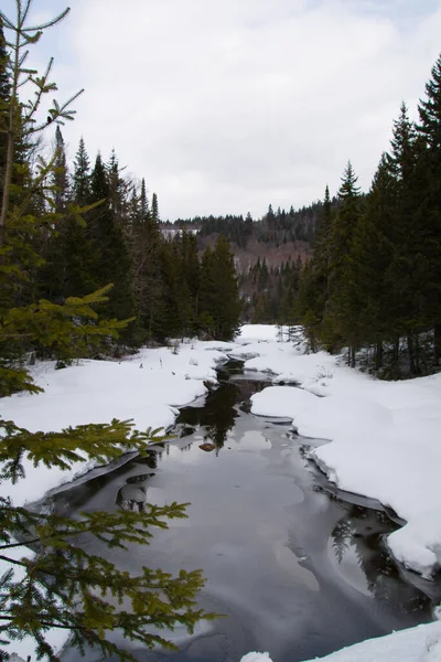 Schöne Aussicht Auf Verschneite Winterlandschaft — Stockfoto