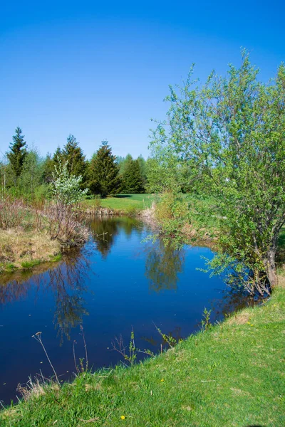 Beautiful Summer Landscape Calm River — Stock Photo, Image