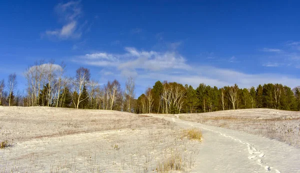 Schöne Aussicht Auf Verschneite Winterlandschaft — Stockfoto