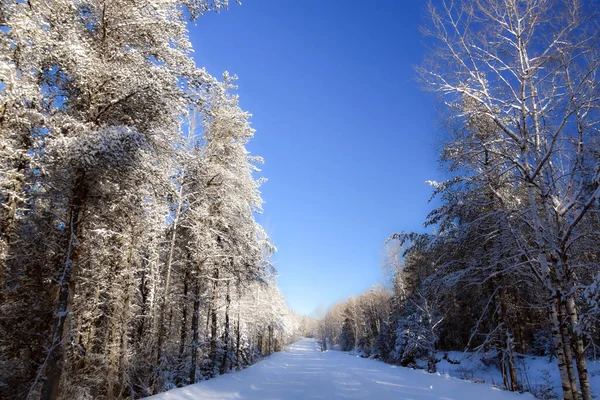 Beautiful View Empty Snowy Road — Stock Photo, Image