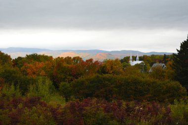 Renkli ağaçlarla dolu güzel sonbahar manzarası 