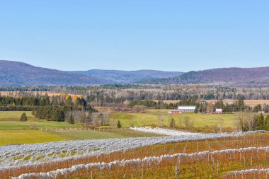 Kırsal sonbahar manzarası 