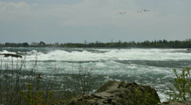 Nehrin güzel manzarası  