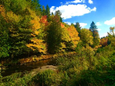 Ağaçlar ve nehirlerle dolu sonbahar manzarası 